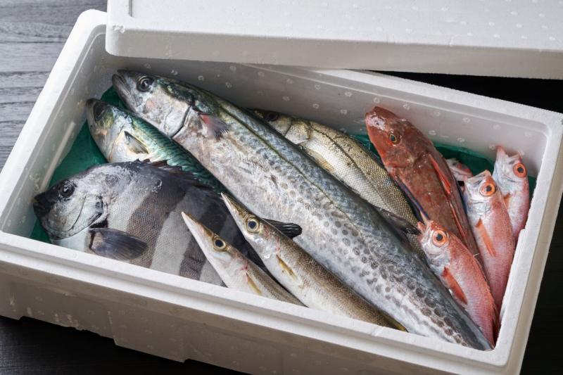 【鮮度保持】夏の食材輸送には発泡スチロールが最適！