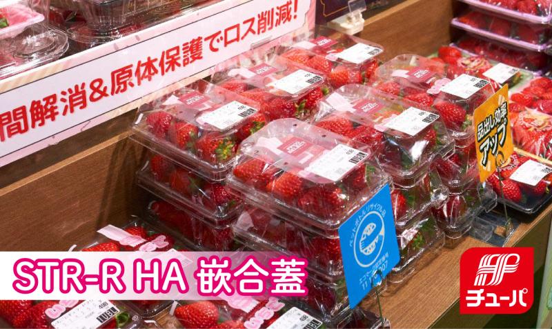 イチゴシーズン到来！　デリケートなイチゴをしっかり守る『STR-R HA嵌合蓋』！