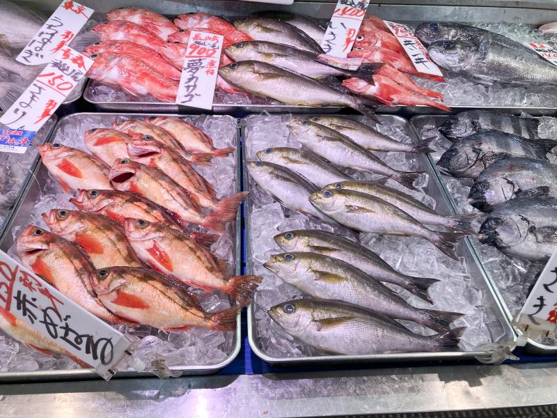 鮮魚・魚介の鮮度を保つ「保冷バッグ提供提案」｜売上機会ロスも防ぐ　　　　　　　　　　　活用術