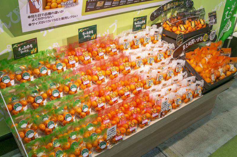 エフピコチューパ株式会社のサブ写真２