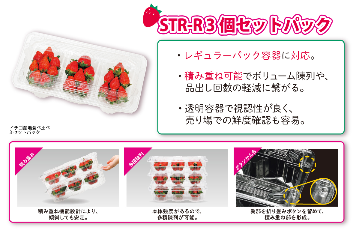 いちご まとめ売り 2点セット 苺 食べ比べセット（とちあいか・スカイベリー）栃木県 JA佐野産