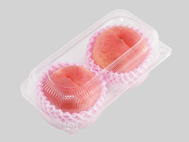 側面リブ形状
