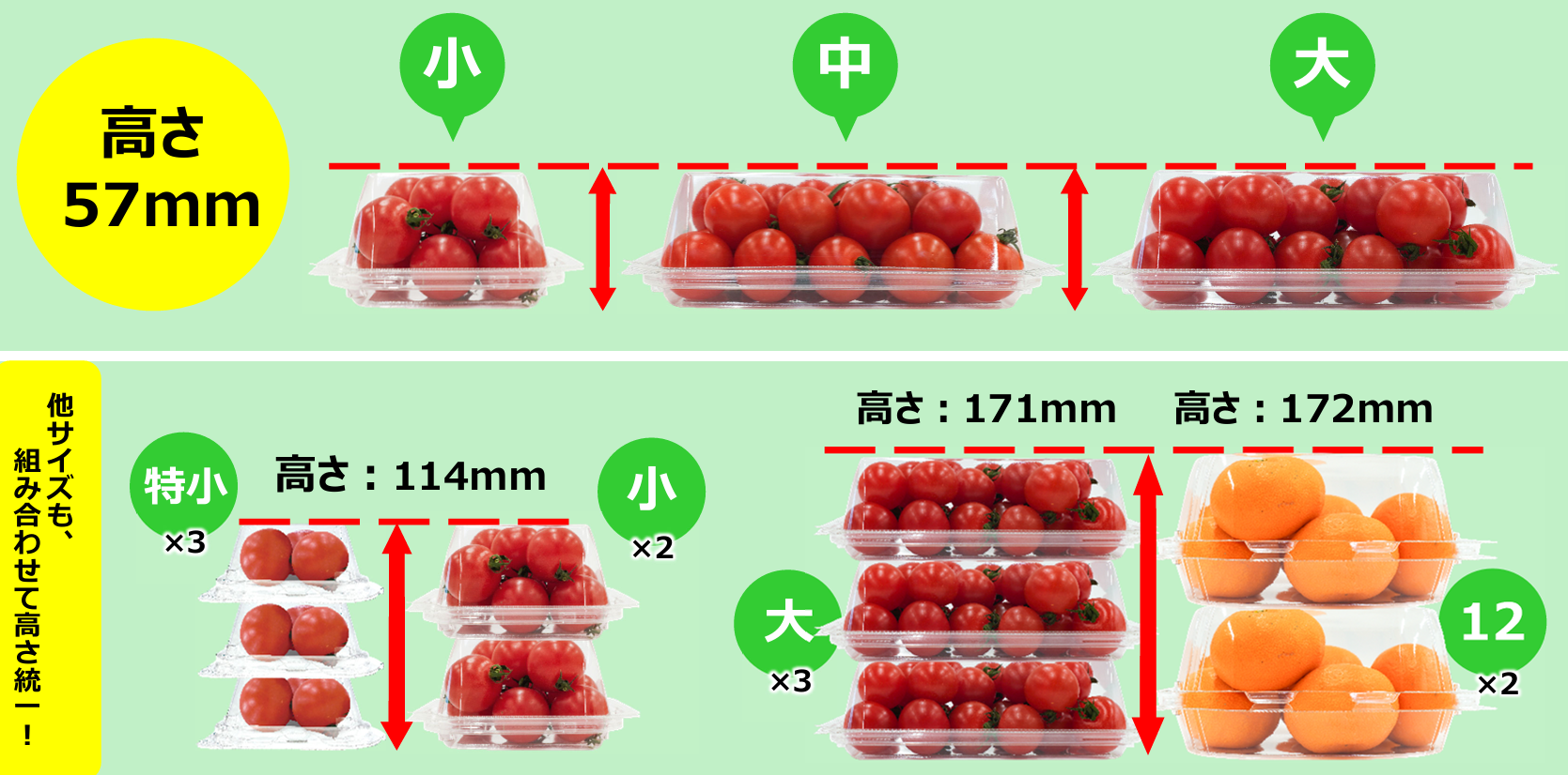 高さ統一比較（小・中・大）
